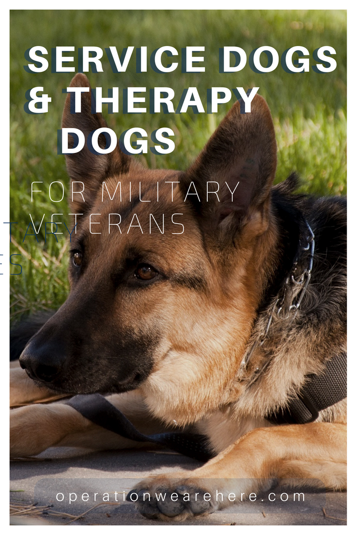 Service dogs, therapy dogs & companion pets for military veterans #PTSD