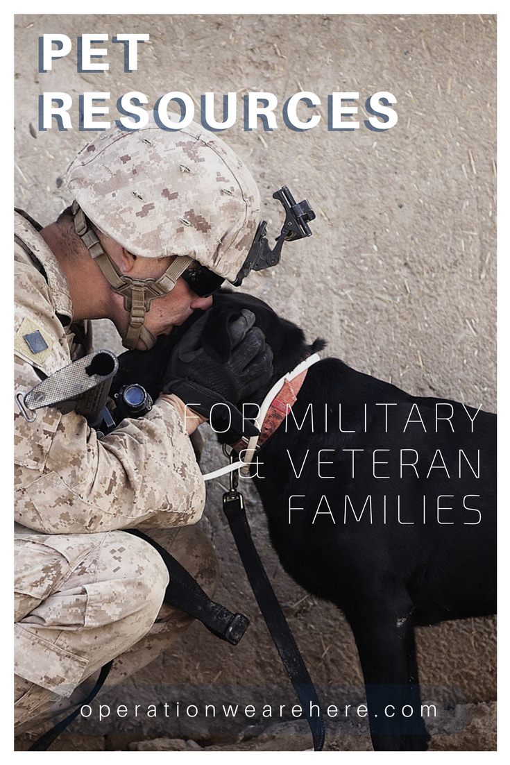 Pet foster care during deployment, military pet adoption, pet adoption from Afghanistan, homeless veteran assistance with pet needs